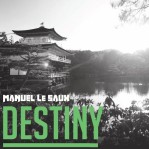 Manuel Le Saux - Destiny album cover
